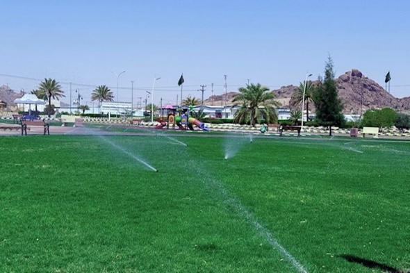 حائل
    تحصد
    جائزة
    المدينة
    العربية
    الخضراء