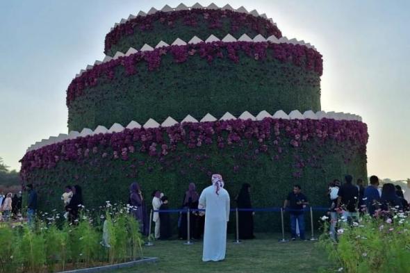 برج
      حلزوني
      ونفق
      وردي
      يزينان
      «العين
      للزهور»