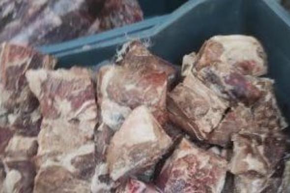 ضبط
26
طن
مصنعات
لحوم
وهياكل
دواجن
غير
صالحة
للاستهلاك
الآدمى
فى
الجيزة