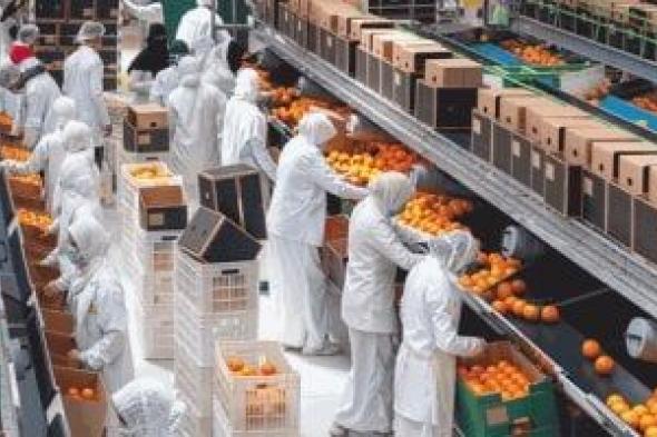 الصادرات
الزراعية
2025
تسجل
رقما
قياسيا
وتستحوذ
على
ربع
صادرات
مصر
للعالم