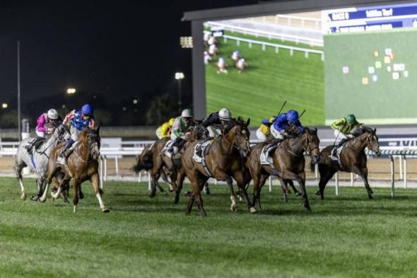 منافسة
      قوية
      في
      الأمسية
      الـ11
      لكرنفال
      سباقات
      دبي