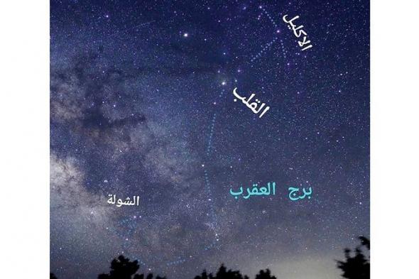 «العقارب» آخر مواسم الشتاء وبوابة الربيع