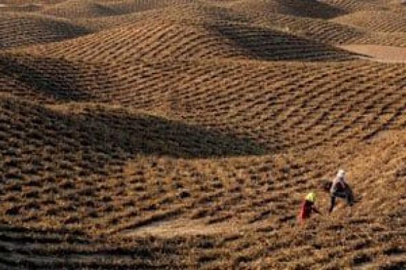 من
الطموح
إلى
التنفيذ..
10
حقائق
عن
مبادرة
الشرق
الأوسط
الخضراء