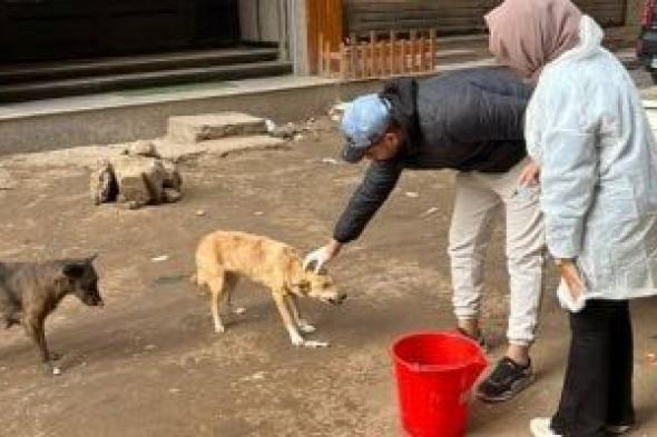 مقصلة
القانون
لـ
"أعداء
الرحمة"..
كيف
تلاحق
الداخلية
مرتكبي
جرائم
تعذيب
الكلاب؟