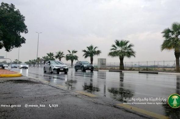 «البيئة»:
    51
    محطة
    ترصد
    هطول
    أمطار
    بـ7
    مناطق..
    ومكة
    المكرمة
    الأعلى
    بـ
    32.6
    ملم
    في
    الخرمة