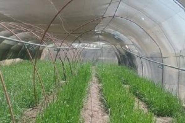 لجان
الشيوخ
تستمع
للمستثمرين
حول
التصنيع
الزراعى
غدا