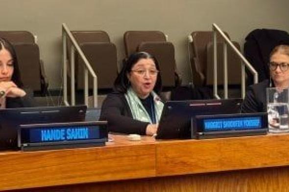 وزارة
التضامن
تستعرض
التجربة
المصرية
في
الرعاية
ودعم
ذوى
الإعاقة
وكبار
السن