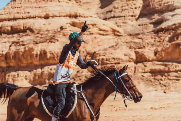 المستشار
    الفني
    لاتحاد
    الفروسية:
    72
    دولة
    تشارك
    ببطولة
    العلا
    للقدرة
    والتحمل