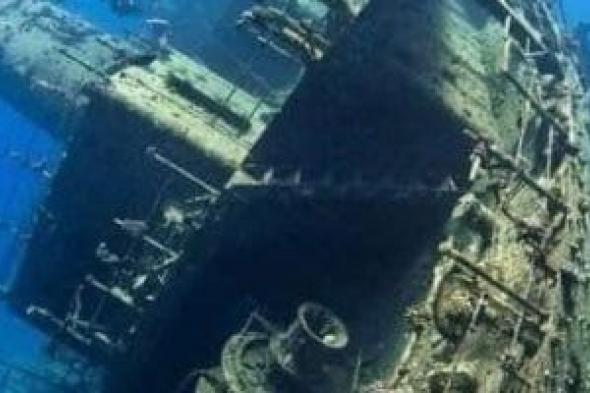 "سيسل
الجورم"
سفينة
حربية
غارقة
بالبحر
الأحمر
وأشهر
موقع
غوص
بالغردقة..
صور