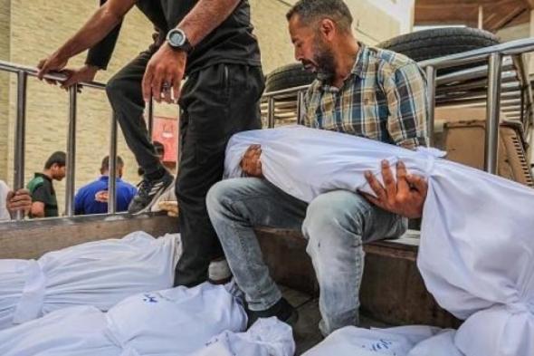 أزمة
المفقودين
بغزة:
3
آلاف
بلاغ
وقائمة
أولية
بـ
322
اسماً