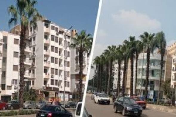 هل
يكون
الخليج
طوق
النجاة
لشركات
المقاولات
المصرية
لزيادة
مواردها؟