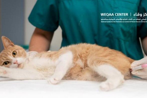 «وقاء»
    يُطلق
    حملة
    لتحصين
    الحيوانات
    الأليفة
    ضد
    «السعار»