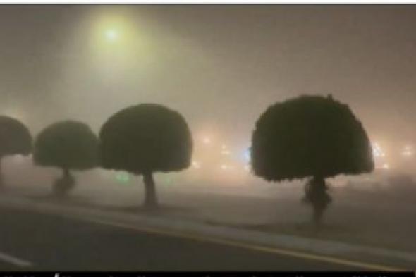 ضباب
كثيف
على
المنطقة
الشرقية
حتى
الصباح 