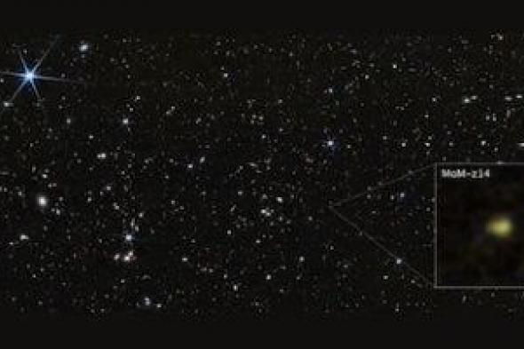 تلسكوب
جيمس
ويب
يكتشف
أبعد
مجرة
رُصدت
فى
تاريخ
البشرية