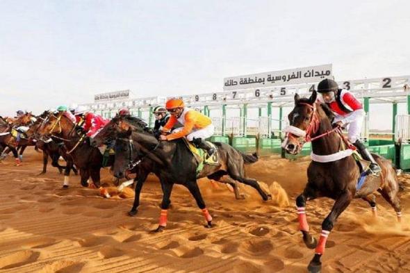 ميدان
    فروسية
    حائل
    يقيم
    اليوم
    حفل
    سباقه
    الحادي
    عشر
    لموسم
    2025