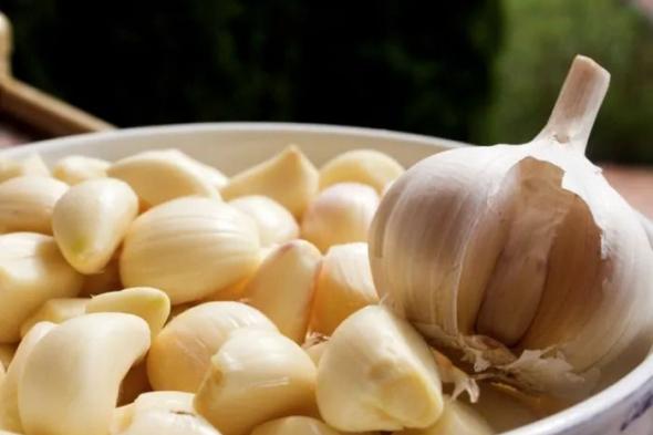 دراسة
      |
      الثوم
      يخفض
      مستوى
      الكوليسترول
      "الضار"