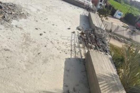 إزالة
19
حالة
تعد
على
أراض
زراعية
وأملاك
دولة
بالإسماعيلية