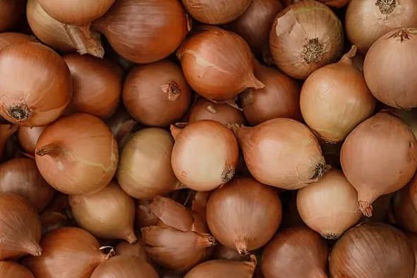 طبيبة:
    8
    فئات
    يجب
    عليها
    تجنب
    البصل