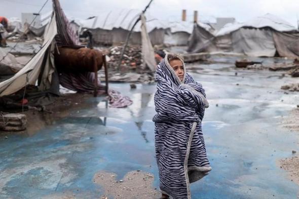 طقس
فلسطين
اليوم:
انخفاض
ملموس
على
درجات
الحرارة