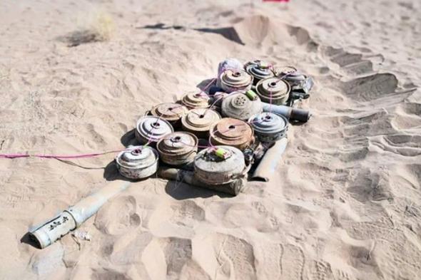 «مسام»
    ينزع
    3.166
    لغمًا
    من
    الأراضي
    اليمنية
    خلال
    أسبوع