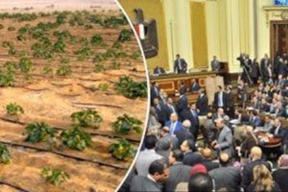 كل
ما
تريد
معرفته
عن
إجراءات
تقنين
أوضاع
واضعي
اليد
على
أملاك
الدولة