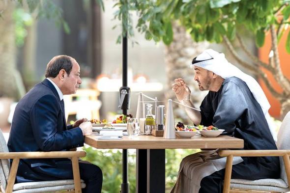 رئيس الدولة والرئيس المصري يُشدّدان على أهمية تعزيز السلام في المنطقة