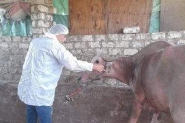 الطب
البيطرى:
تخصيص
خط
ساخن
رقم
19561
لتقديم
الإرشاد
البيطرى
للمواطنين