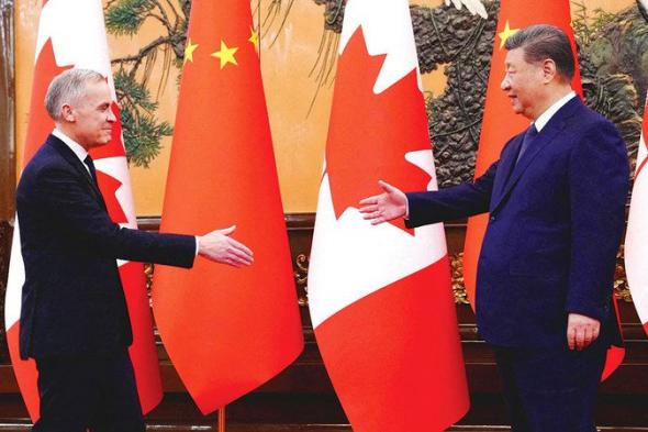 «القوى المتوسطة» تبحث عن موقع في النظام العالمي الجديد