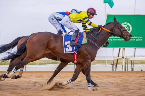 «أبر
    كلاس»
    يتوج
    بكأس
    الحفل
    الخامس
    عشر
    بميدان
    الملك
    سعود
    للفروسية
    بالقصيم