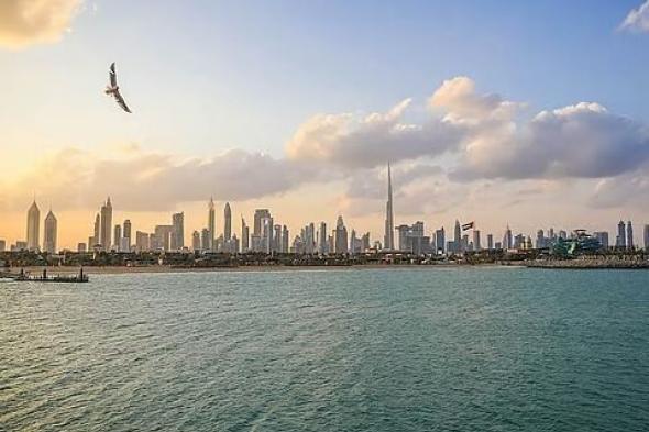 "الوطني للأرصاد" يحذر من تدني الرؤية بسبب الضباب