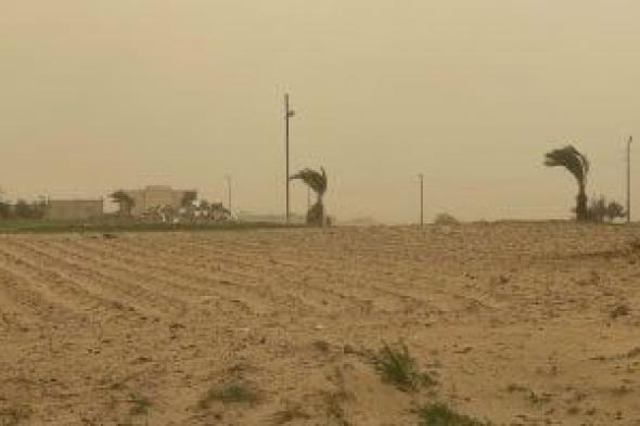 تحذيرات
مهمة
من
وزارة
الزراعة
للمزارعين
لتجنب
الآثار
السلبية
للتقلبات
الجوية