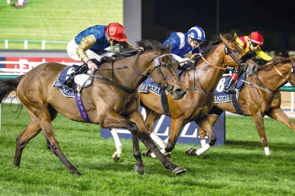 116 خيلاً تتنافس في الأمسية  الـ 12 لكرنفال سباقات دبي