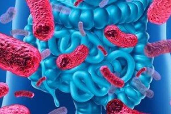 التهاب
الأمعاء..
دراسة
تحذر
من
علامات
تظهر
قبل
التشخيص
بسنوات