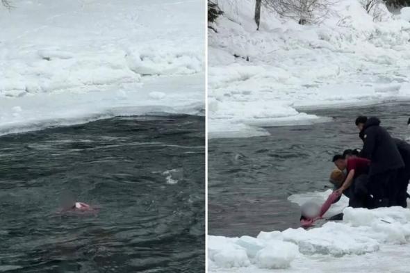 صينية
      وابنتها
      في
      نهر
      متجمد
      بسبب
      صورة