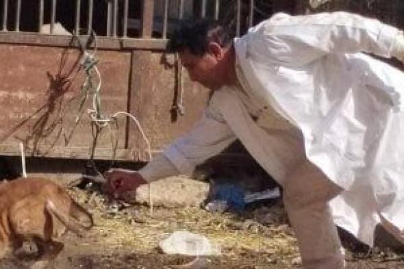 بيطرى
الفيوم
يكثف
حملات
تحصين
الكلاب
لمكافحة
السعار
ضمن
رؤية
مصر
2030