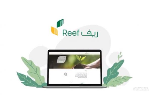 برنامج
ريف:
4
قطاعات
يشملها
الدعم
في
المدينة
المنورة