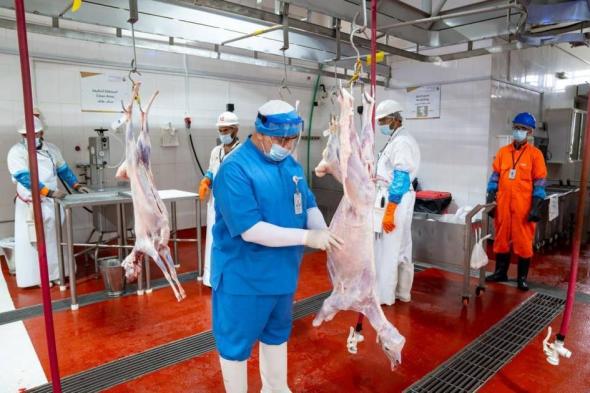 رفع
      القدرة
      الاستيعابية
      بمسالخ
      الظفرة
      لتلبية
      الطلب
      المتزايد