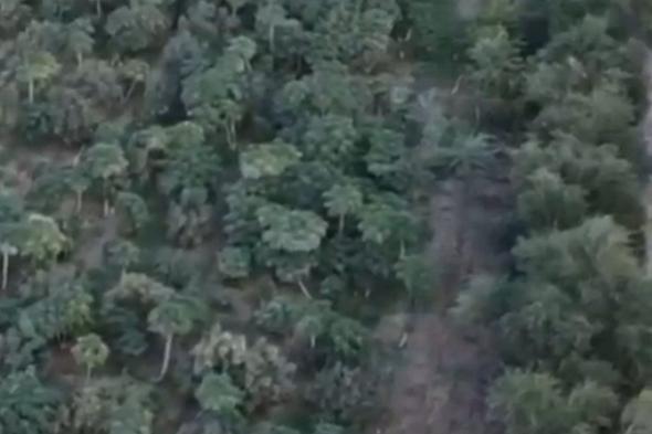 مزارع
    يروي
    تجربته
    بزراعة
    الحمضيات
    بجبال
    الفقرة
    في
    المدينة
    المنورة