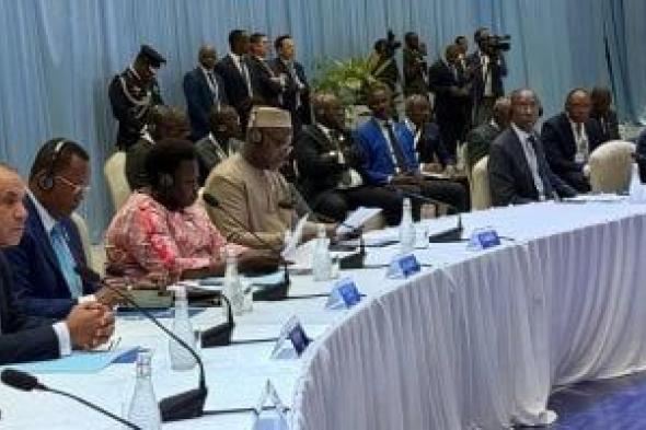 وزير
الخارجية
يستعرض
رؤية
مصر
لتعزيز
الشراكة
الاستراتيجية
وتحقيق
التنمية
المستدامة