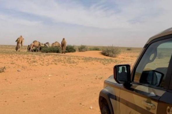 ضبط
مواطن
لارتكابه
مخالفة
رعي
بمحمية
الملك
عبدالعزيز
الملكية