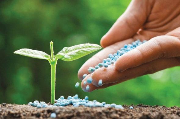 باحثون في جامعة خليفة يطورون أليافاً تحول التربة الرملية إلى أرض خصبة