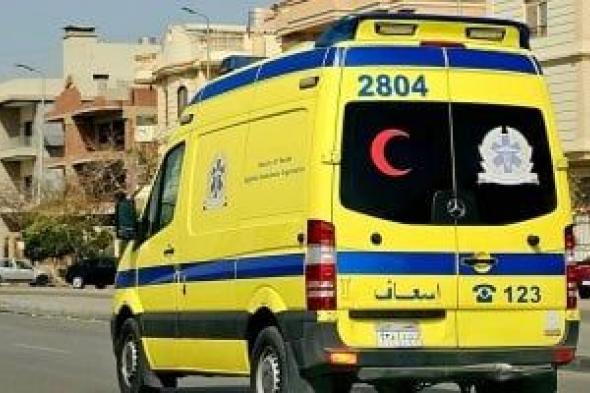 إصابة 7 أشخاص فى انقلاب سيارة أجرة بالطريق الزراعى بأسوان