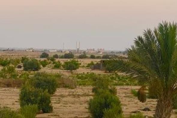 أجواء معتدلة بشمال سيناء اليوم الاثنين.. الحرارة 32 درجة بوسط المحافظة