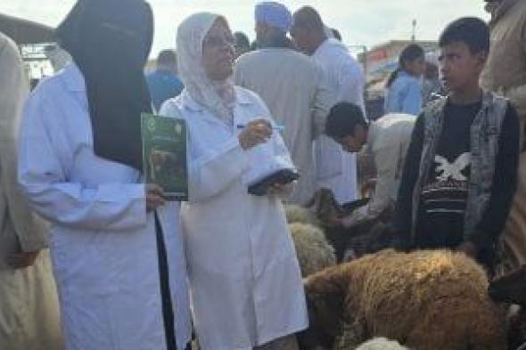 حملة بيطرية مكبرة بسوق الأحد فى السويس لحماية الثروة الحيوانية