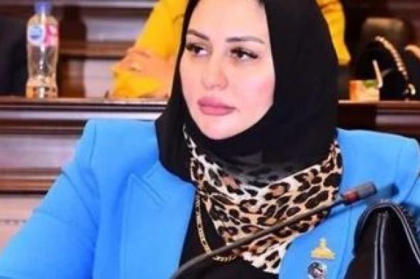 بعد اقتراحها تغيير مسمى ربة منزل في البطاقة.. النائبة شيرين صبري: صانعة جيل تعبير أدق عن دور الأم